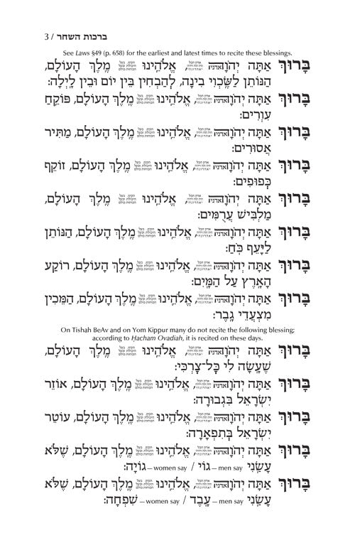 Siddur Tefillah LeDavid - Hebrew-Only - Full Size – Sephardic / Edot HaMizrach - Mitzvahland.com