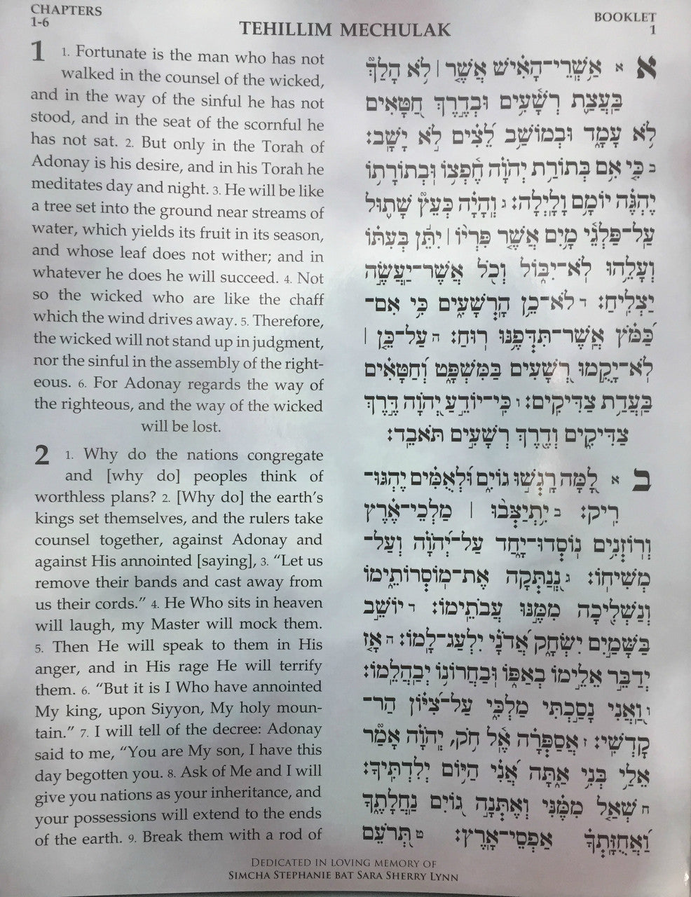Tehillim Mechulak - Hebrew/English - 39 Volumes