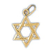 14K Gold Jewish Star of David Charm Jewelry - Mitzvahland.com All your Judaica Needs!