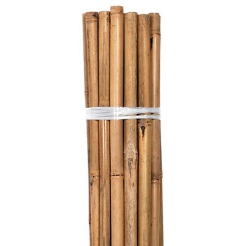 Bamboo  poles 12 ft. long x 1-1/4 in.   (Package of 25)  - Mitzvahland.com All your Judaica Needs!