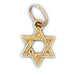 14K Gold Jewish Star of David Charm Jewelry - Mitzvahland.com All your Judaica Needs!