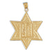 14K Gold Jewish Star of David w/Ten Commandments Pendant Jewelry - Mitzvahland.com All your Judaica Needs!