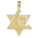 14K Gold Star of David w/Chai Pendant Jewelry - Mitzvahland.com All your Judaica Needs!
