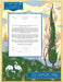 Beloveds Ketubah Ketubah FREE SHIPPING - Mitzvahland.com All your Judaica Needs!