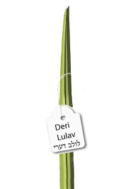 Deri Lulav - ALONE  - Mitzvahland.com All your Judaica Needs!