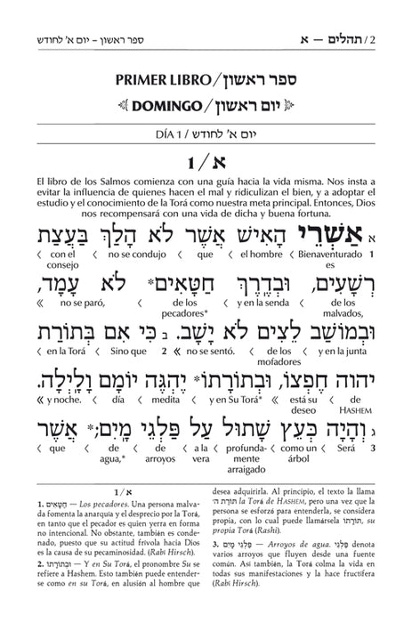 El Libro de los Salmos (con una Tradiccion Interlineal - Full Size