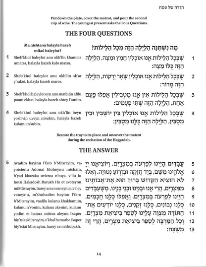 Goldberg Transliterated Passover Haggadah - Large