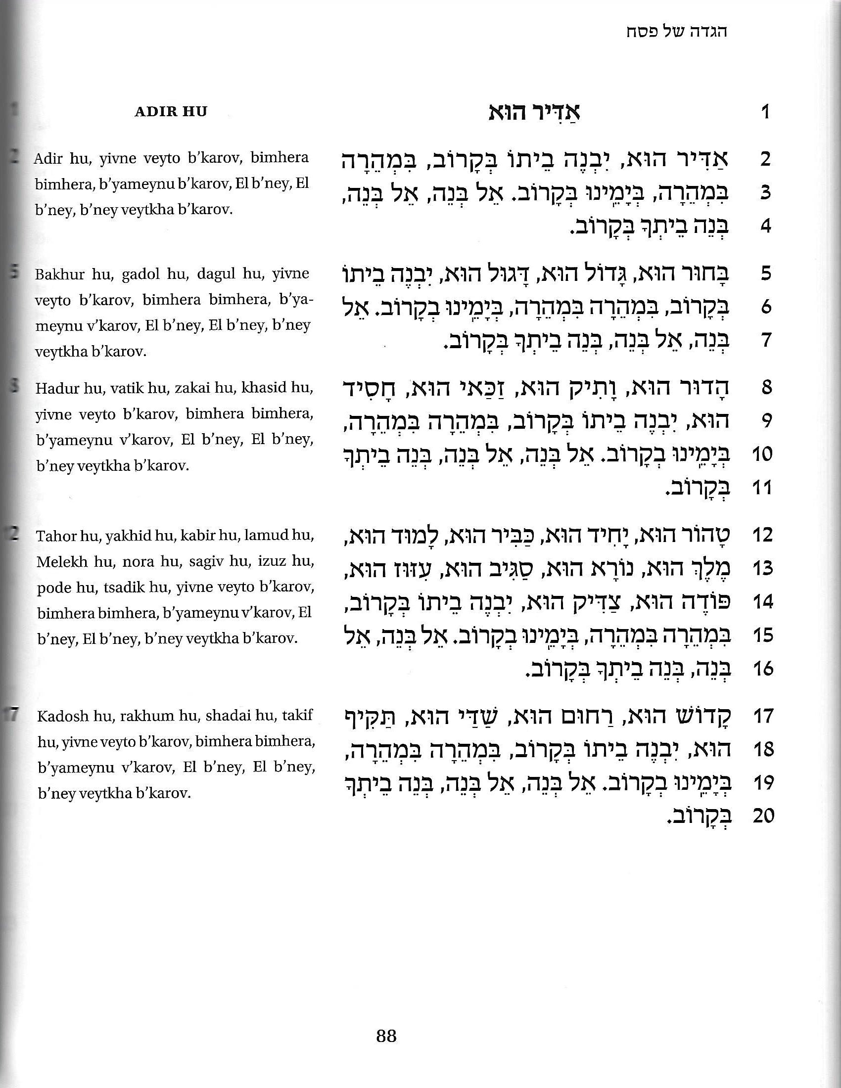 Goldberg Transliterated Passover Haggadah - Large