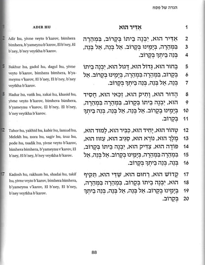 Goldberg Transliterated Passover Haggadah - Large