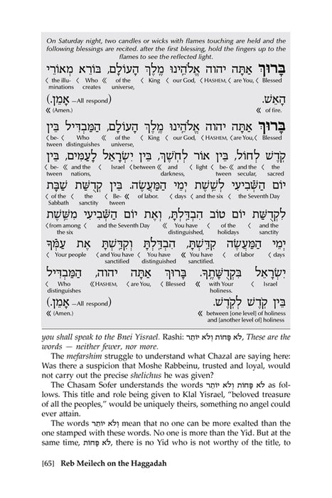 Reb Meilech on the Haggadah