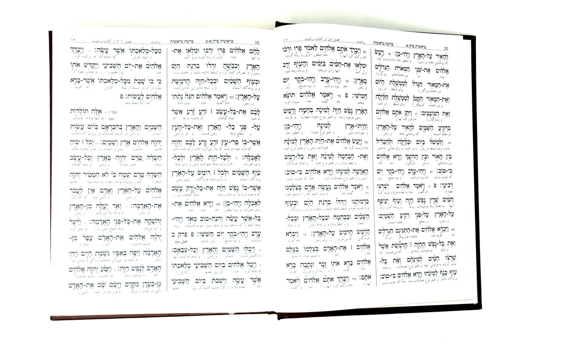 Interlinear Persian Torah Complete - Leather - Mitzvahland.com