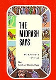 Midrash Says 4 - Bamidbar - Mitzvahland.com