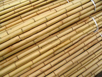 12 ft bamboo fishing pole Bamboo poles 12 ft. long x 1-1/4 in. (Package of 25) – Mitzvahland.com