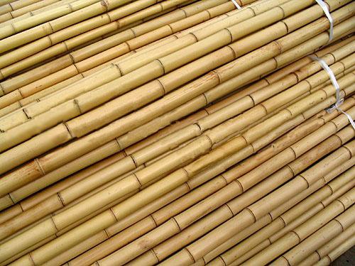 Bamboo poles 12 ft. long x 1-1/4 in. (Package of 25) —