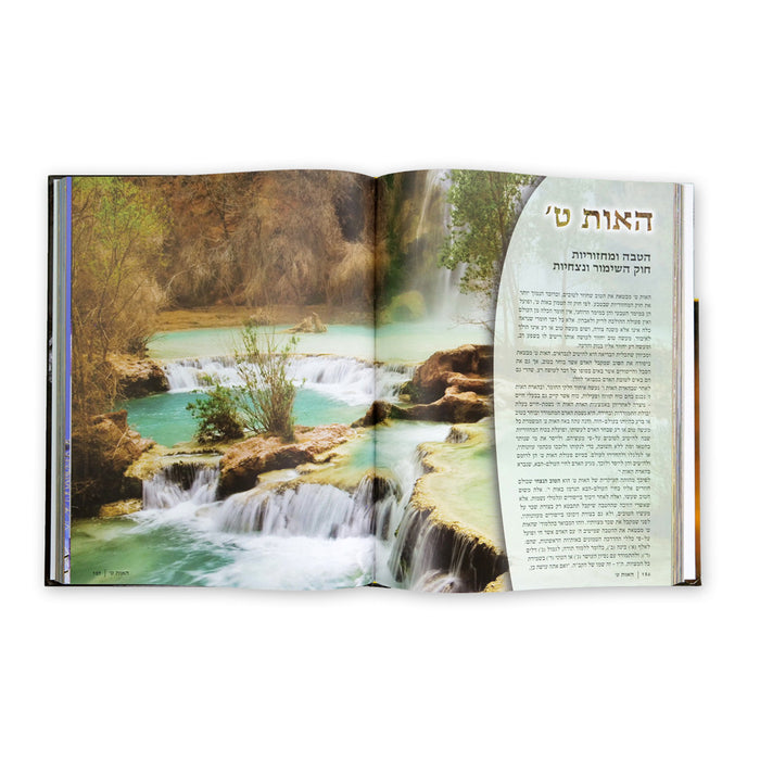 הצופן - הרב זמיר כהן - Hatzofen