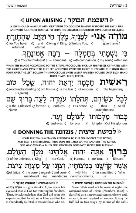 Artscroll Siddur: Interlinear: Weekday Full Size - Ashkenaz - Schottenstein Edition - Mitzvahland.com