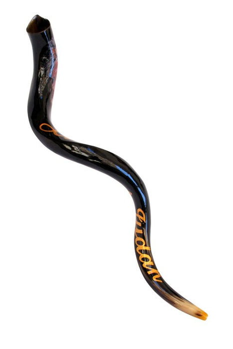 Hand Painted Yemenite Shofar shofar - Mitzvahland.com All your Judaica Needs!