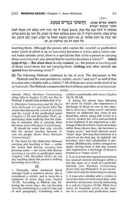 Schottenstein Edition Mishnah Elucidated Complete 23 Volume Set Full Size  - משניות