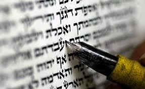 Torah Repairs and Maintenance , Torah Evaluations,  Insurance Appraisals