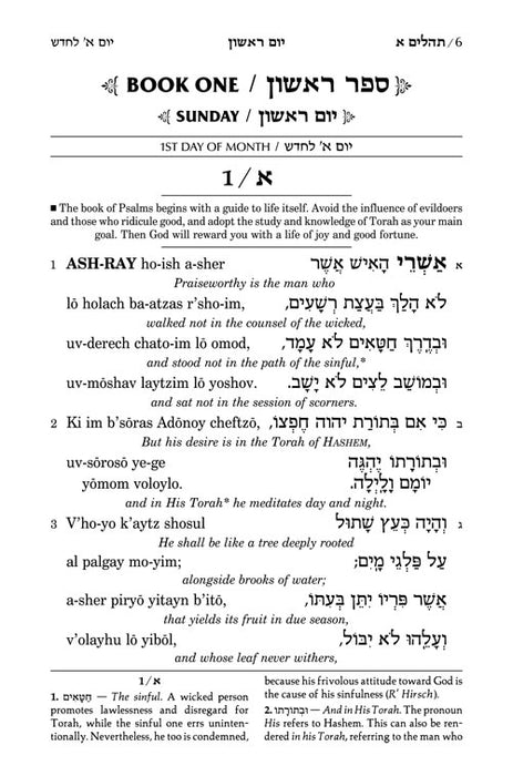 Tehillim: Transliterated Linear - Seif Edition - Full Size