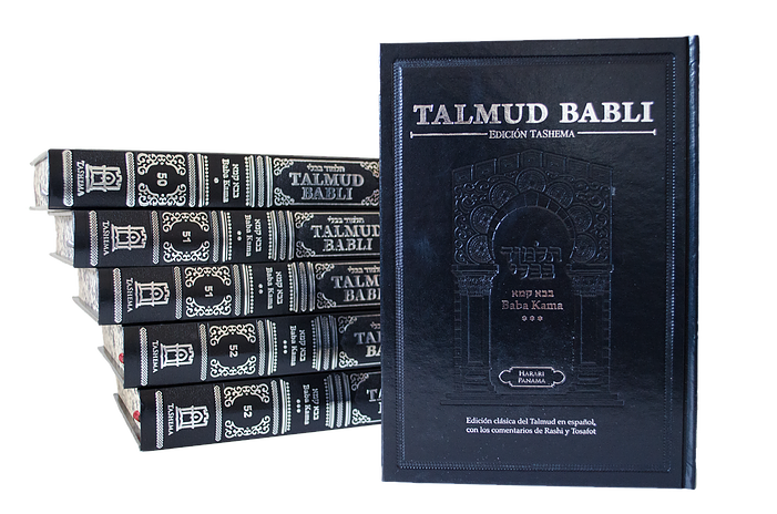 Talmud Babli Edicion Tashema - Hebrew/Spanish 19 books - Not completed set yet