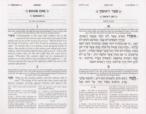 Tehillim / Psalms  1 Volume  Full Size - Mitzvahland.com