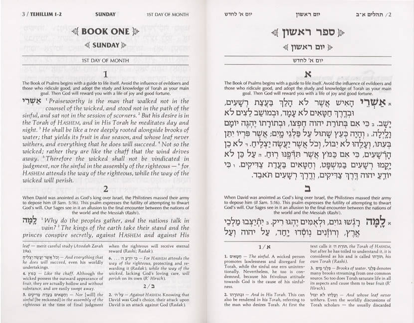 Tehillim / Psalms - 1 Vol - Full Size Yerushalayim Two-Tone Leather