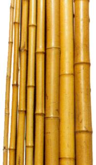 Bamboo poles 12 ft. long x 1-1/4 in. (Package of 25) —